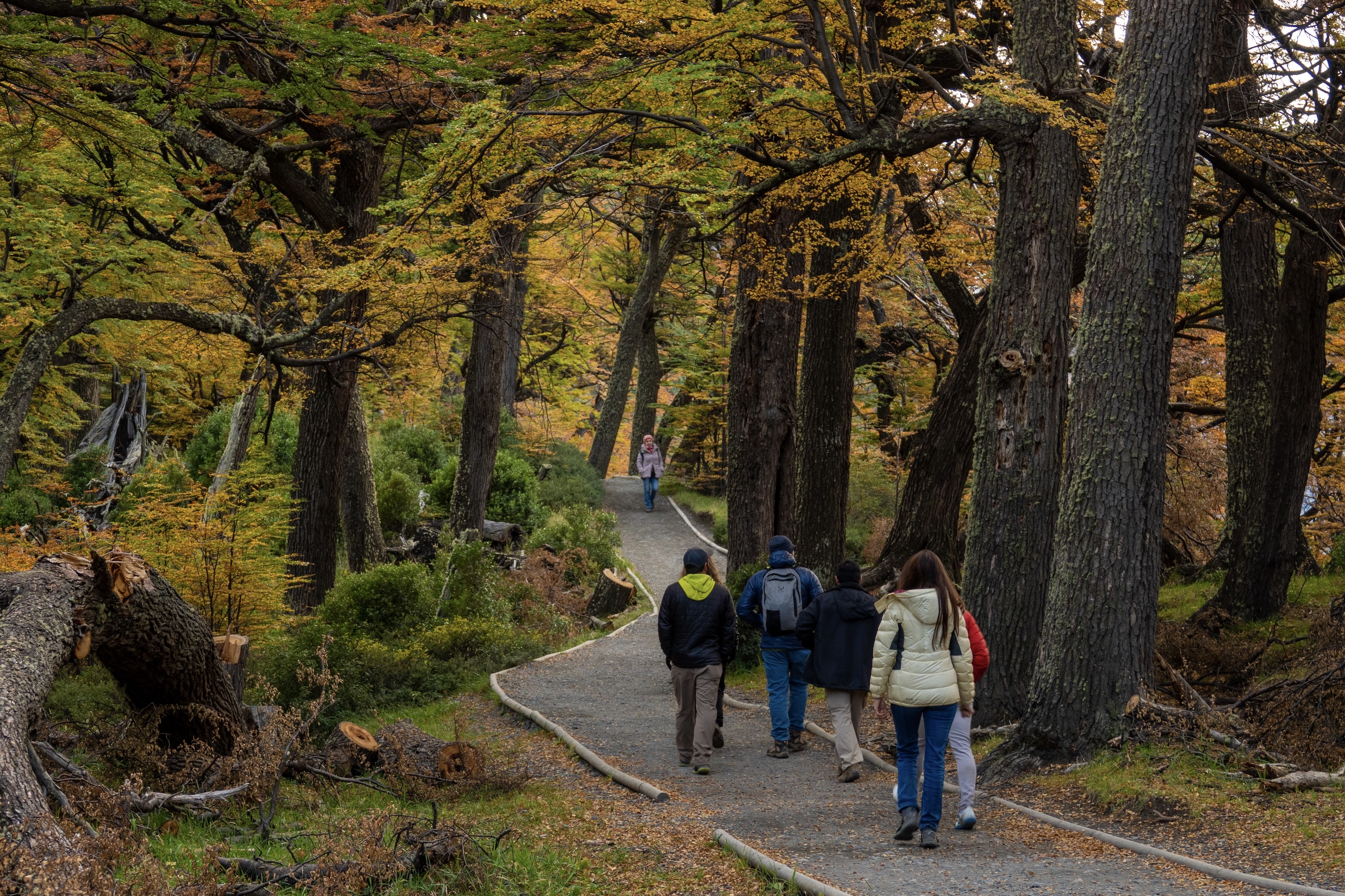 Excursions from Patagonia Camp