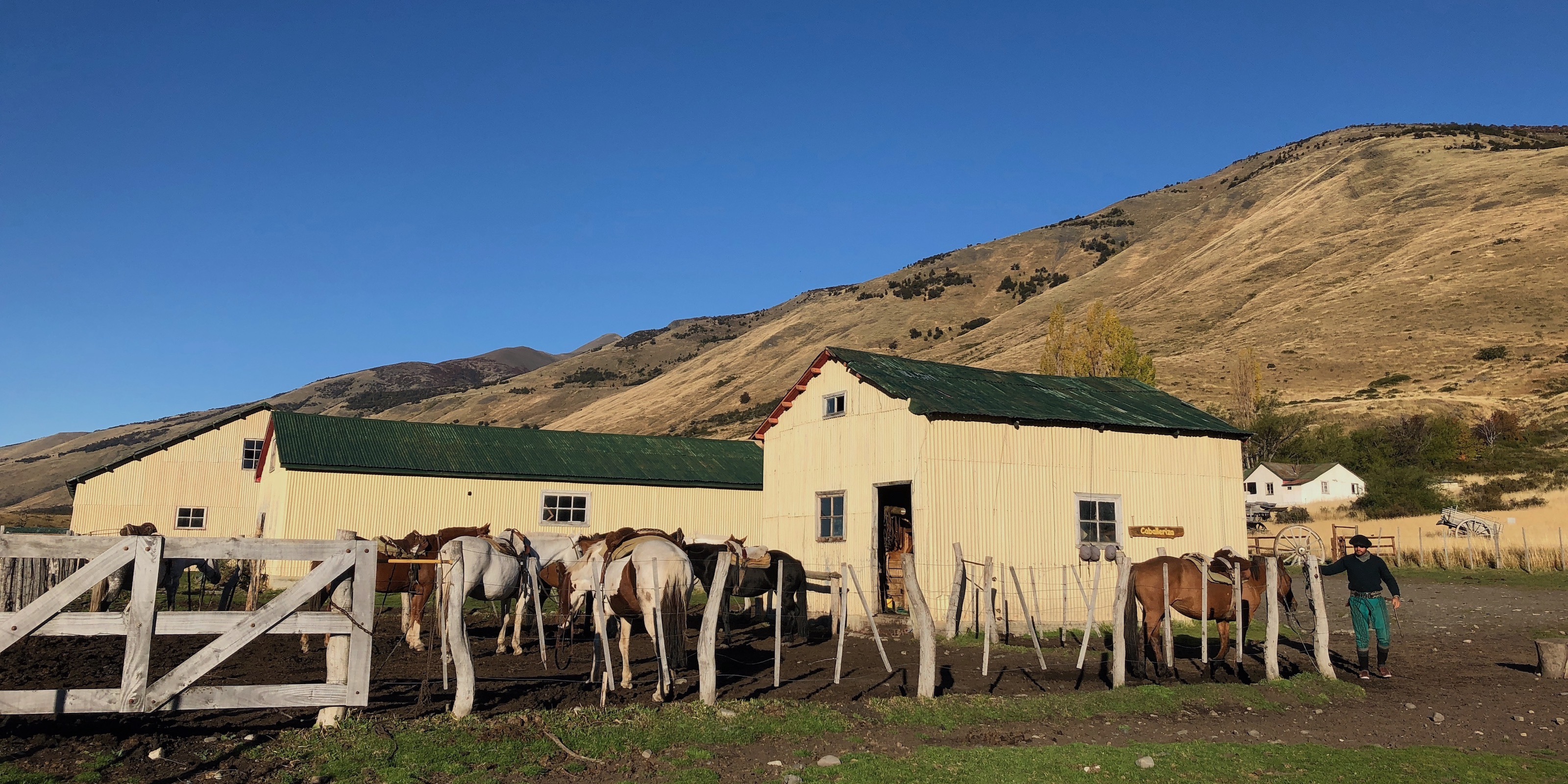 Horses and gaucho at Estancia Nibepo Aike