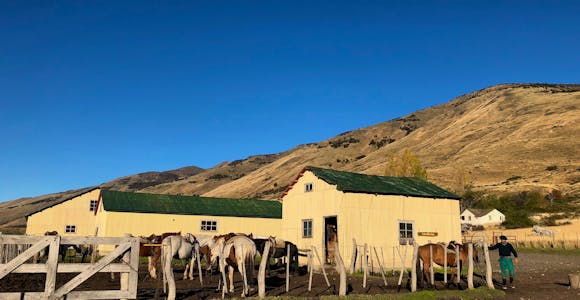 estancia nibepo aike horses