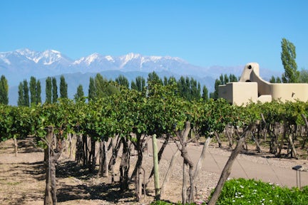 Chile and Argentine Wine Tours