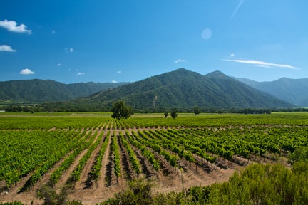 Chile and Argentine Wine Tours