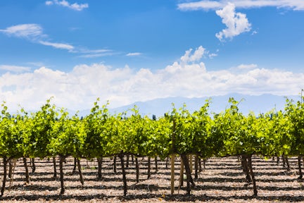 Mendoza