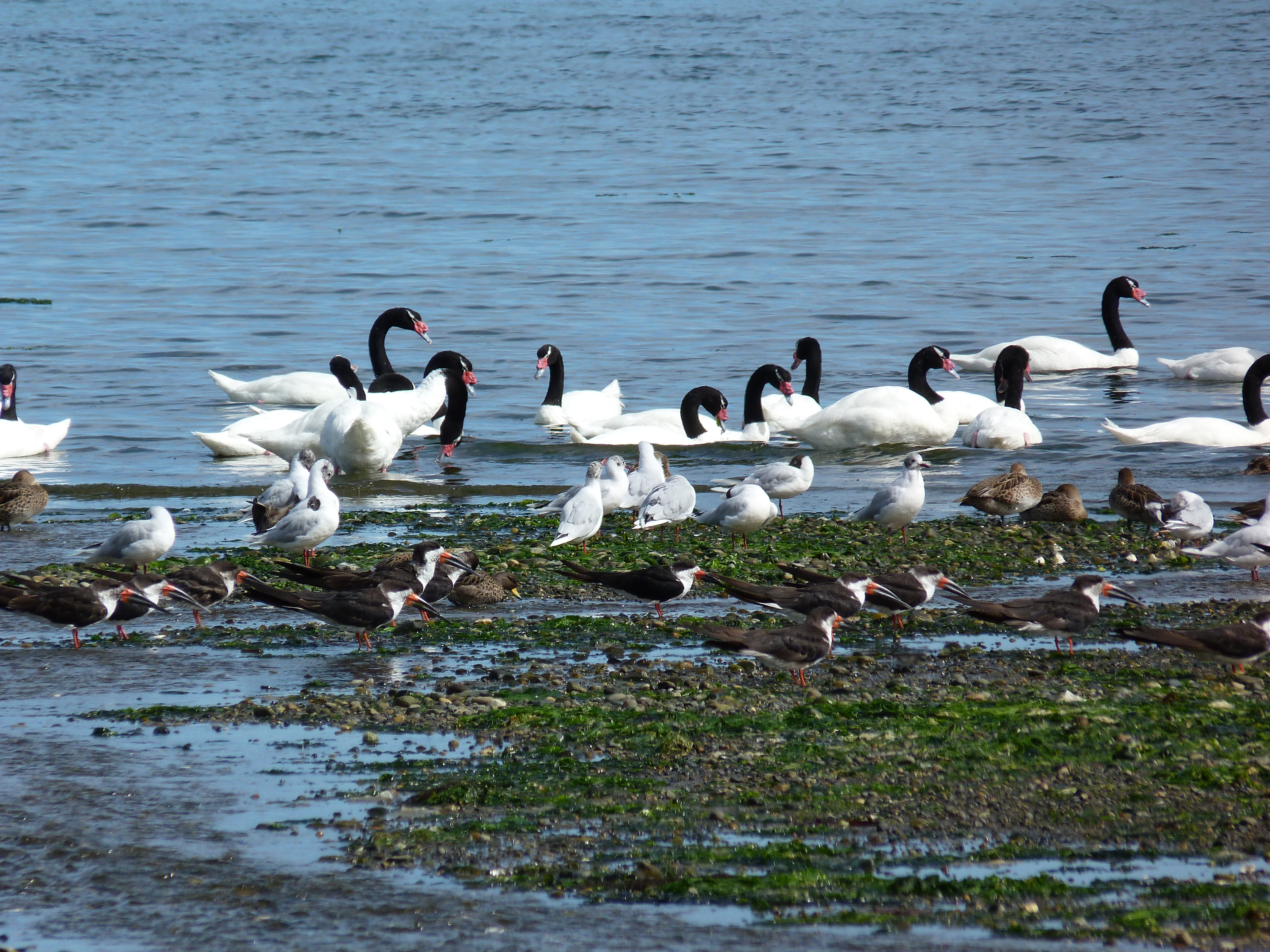 Chile: Deep into Patagonia, 21 nights