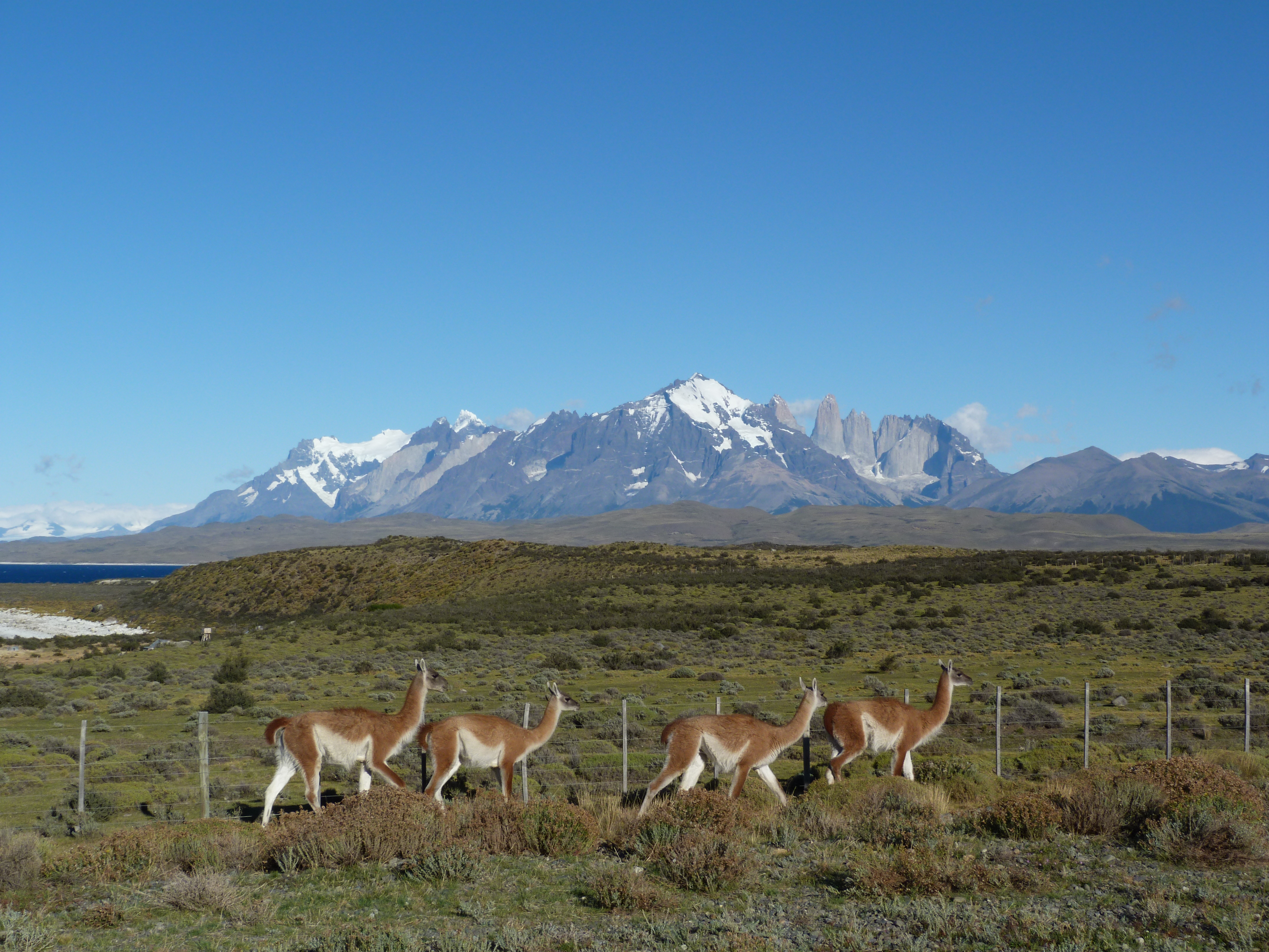 Ultimate Chile: Deserts, Islands & Antarctica, 20 nights