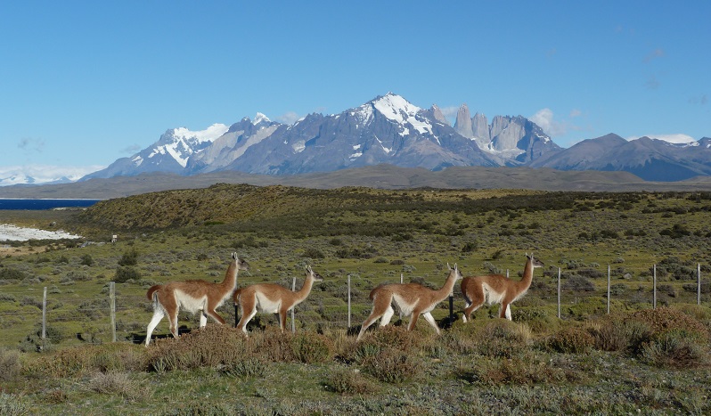 Best of Chile & Argentina