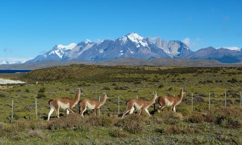 Best of Chile & Argentina