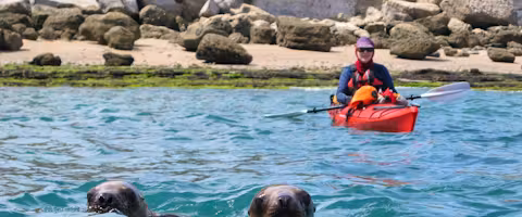 Peninsula Valdés Wildlife Kayaking