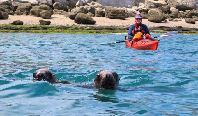 Peninsula Valdés Wildlife Kayaking