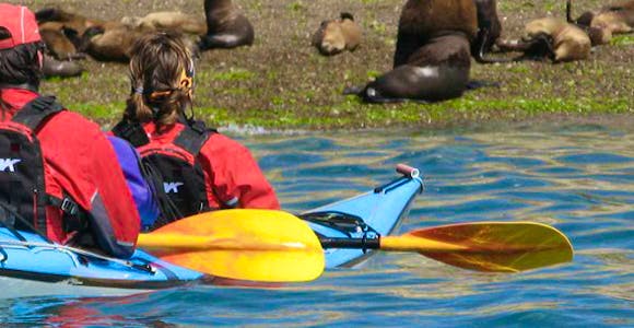 Kayaking in Peninsula Valdés