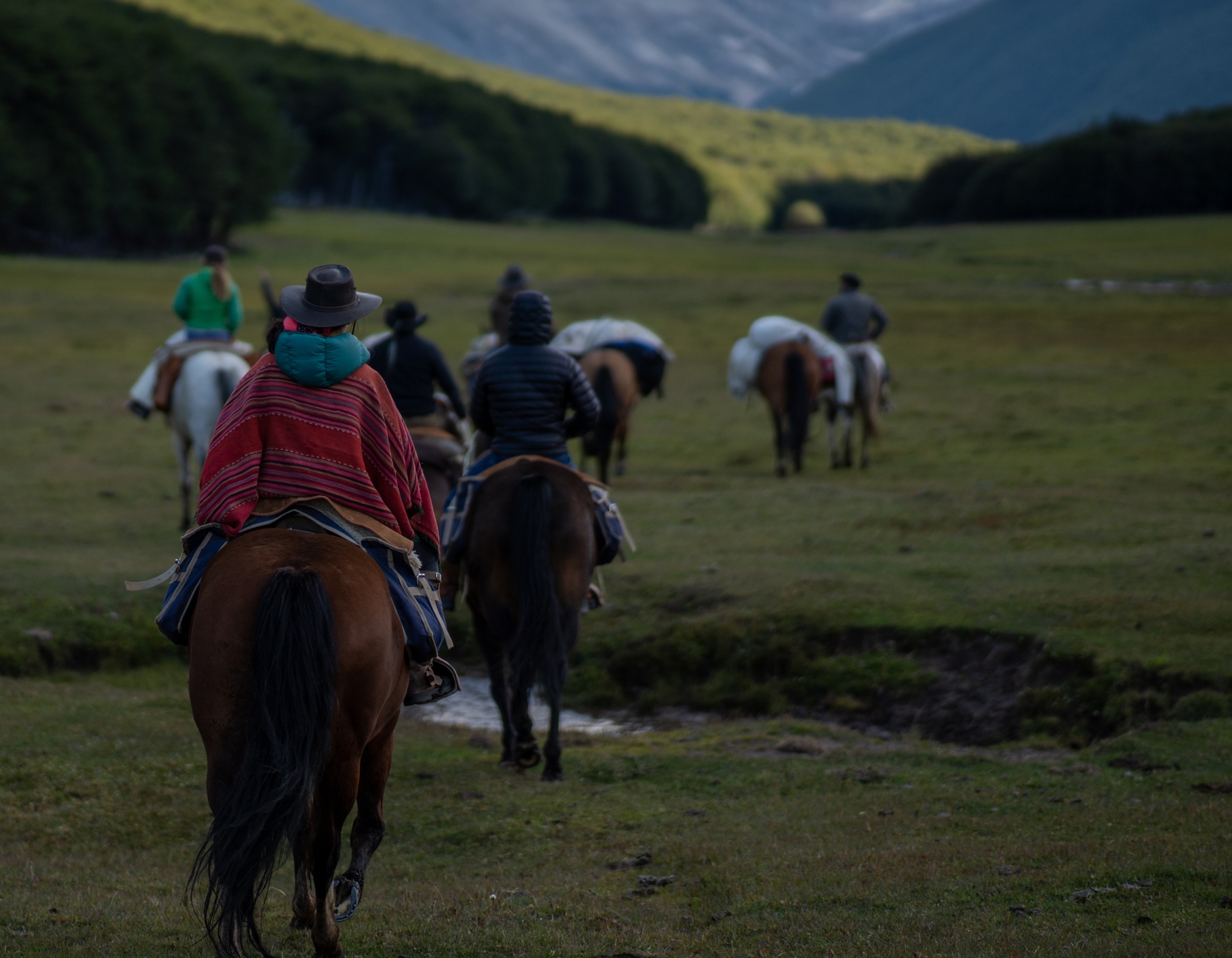 Aysen Horse Riding to the Avellano Valley