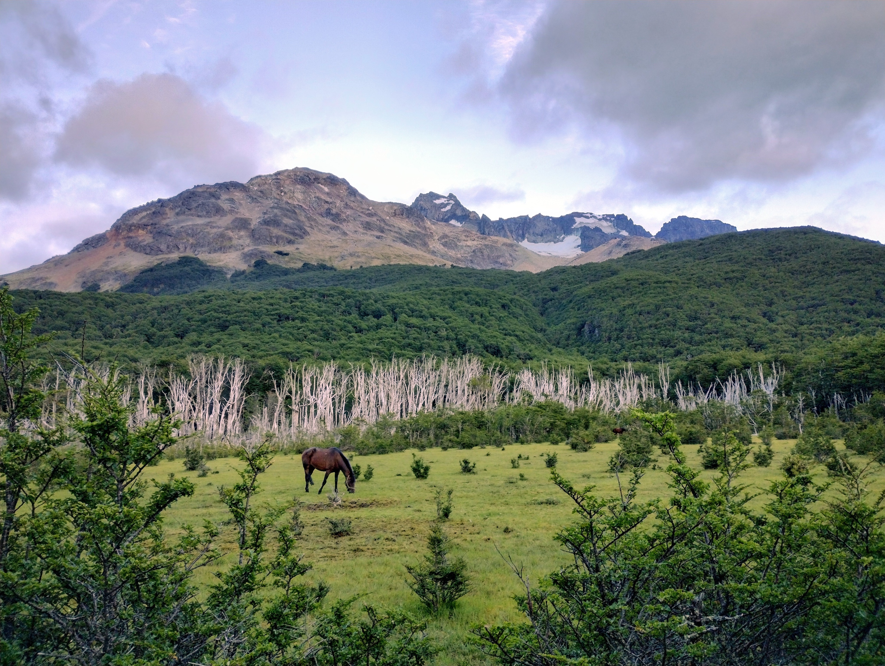 Aysen Horse Riding to the Avellano Valley - base camp