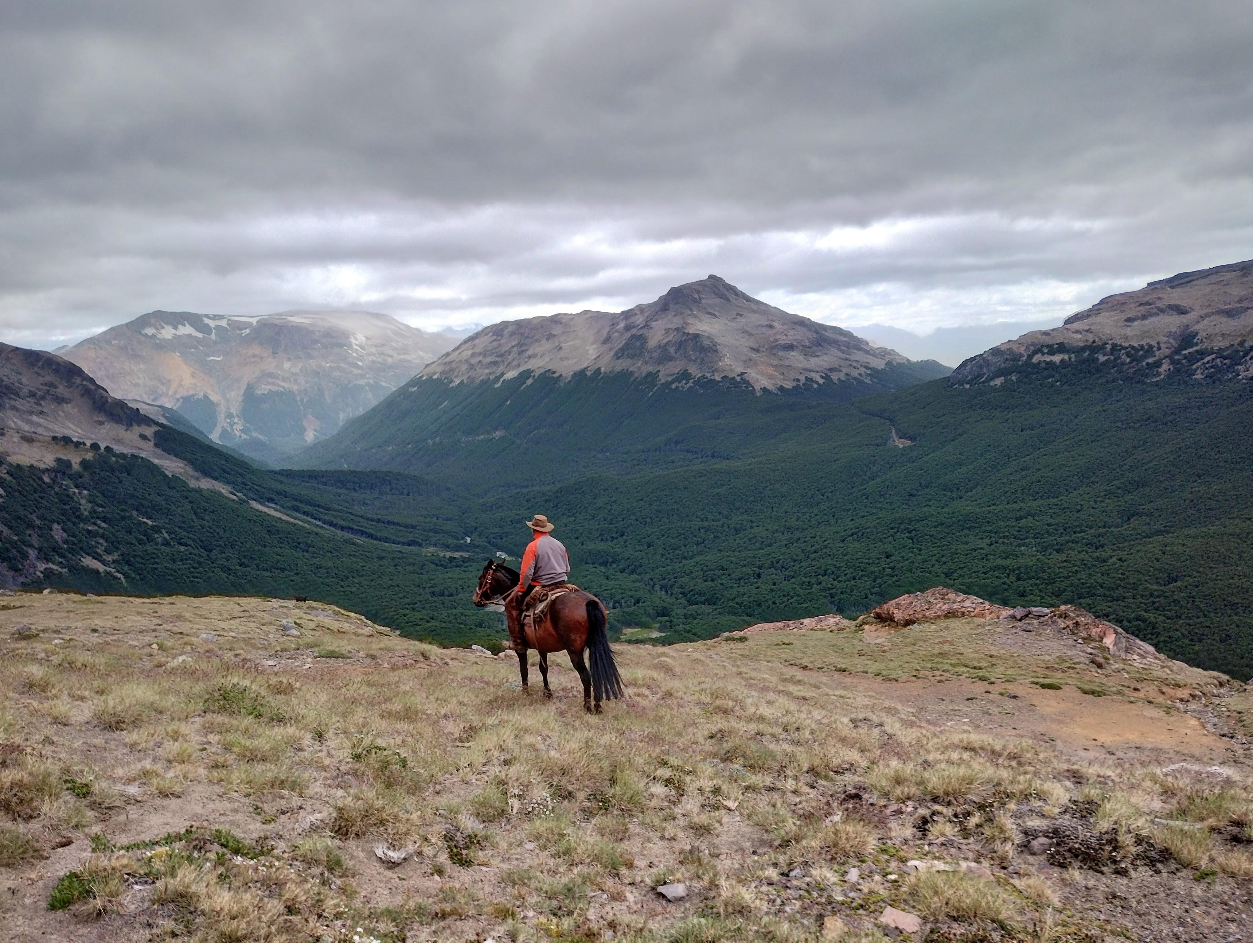 Aysen Horse Riding to the Avellano Valley