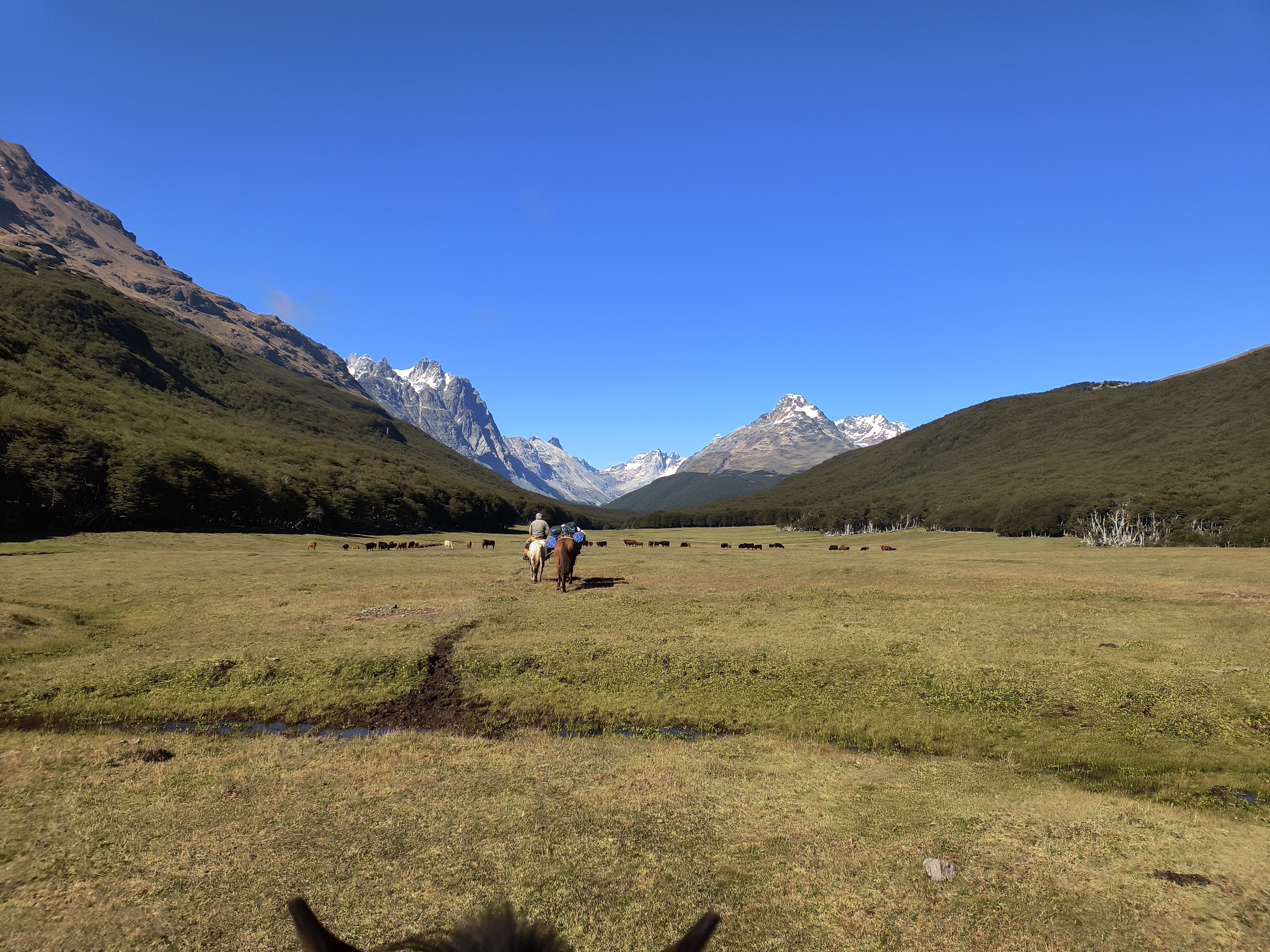 Horse riding in the Avellano Valley