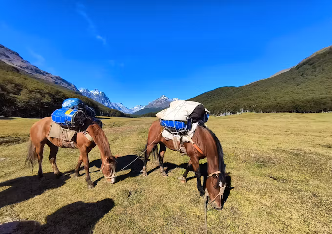 Aysen Horse Riding to the Avellano Valley