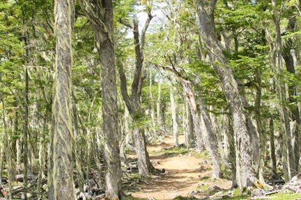 Excursions from El Mirador de Guadal