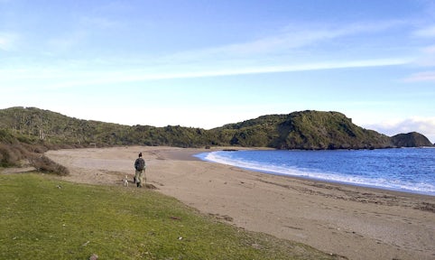 Cole Cole Beach, Chiloé, Chile