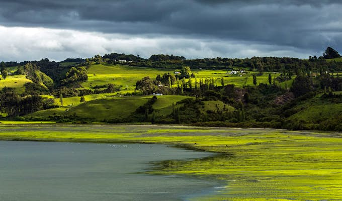 Explore Chiloé Island by Land and Sea