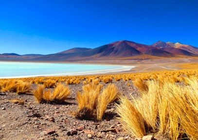 Excursion from Tierra Atacama, Chile