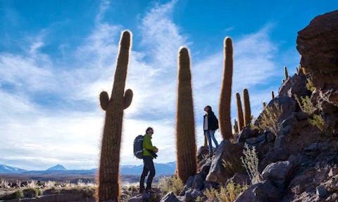 Hiking excursion from Tierra Atacama, Chile