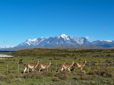 Patagonia: Earth's Secret Paradise