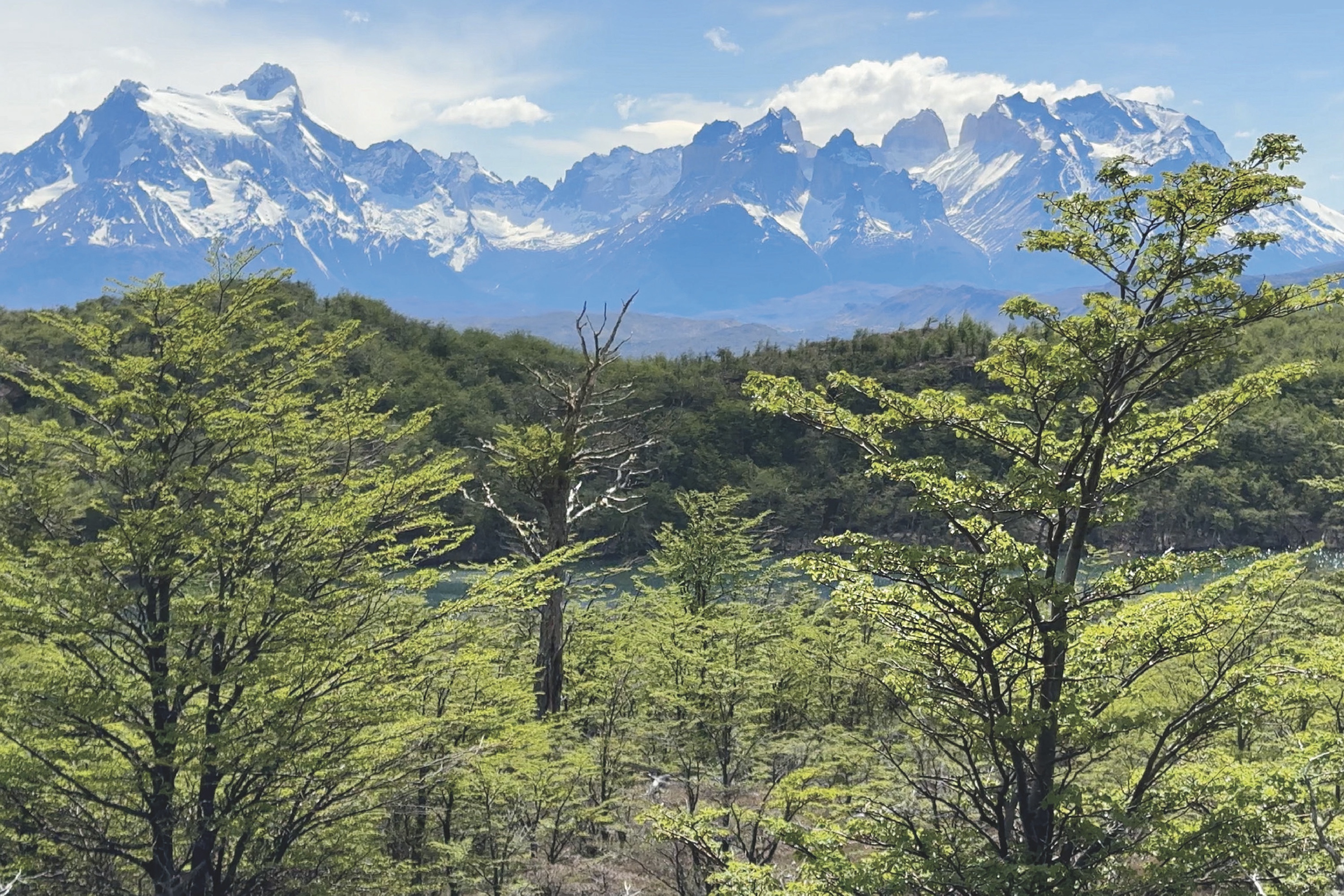The Singular Patagonia excursions - Toro Serrano