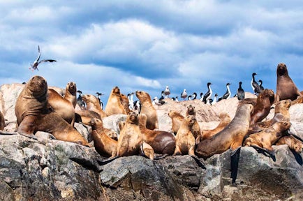 Ushuaia Excursions
