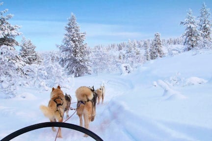 Dog-sledding expedition, Patagonia, Chile
