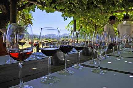 Visiting a winery in Colchagua valley, Chile