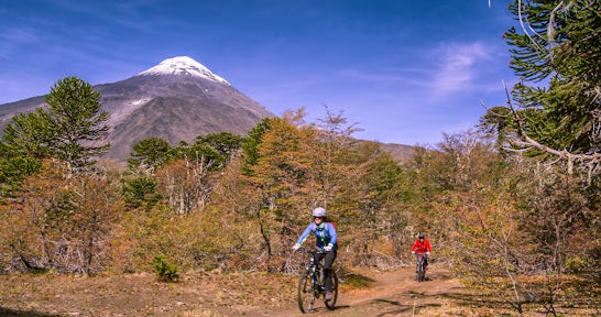 Mountain biking in the shadow of Villarrica Volcano, Chile