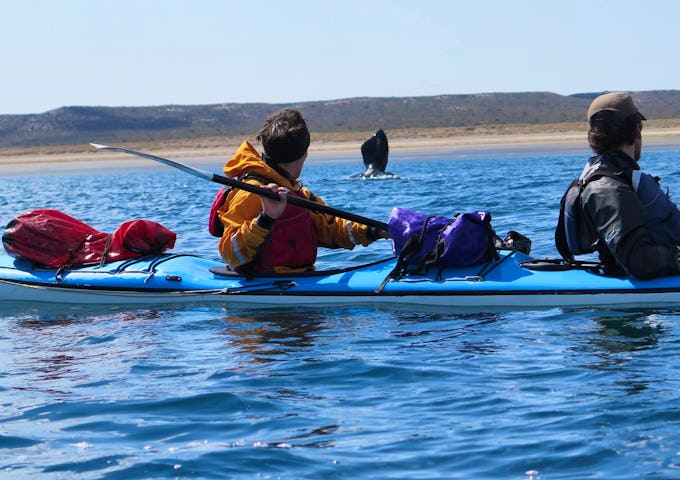 Kayaking in Peninsula Valdés