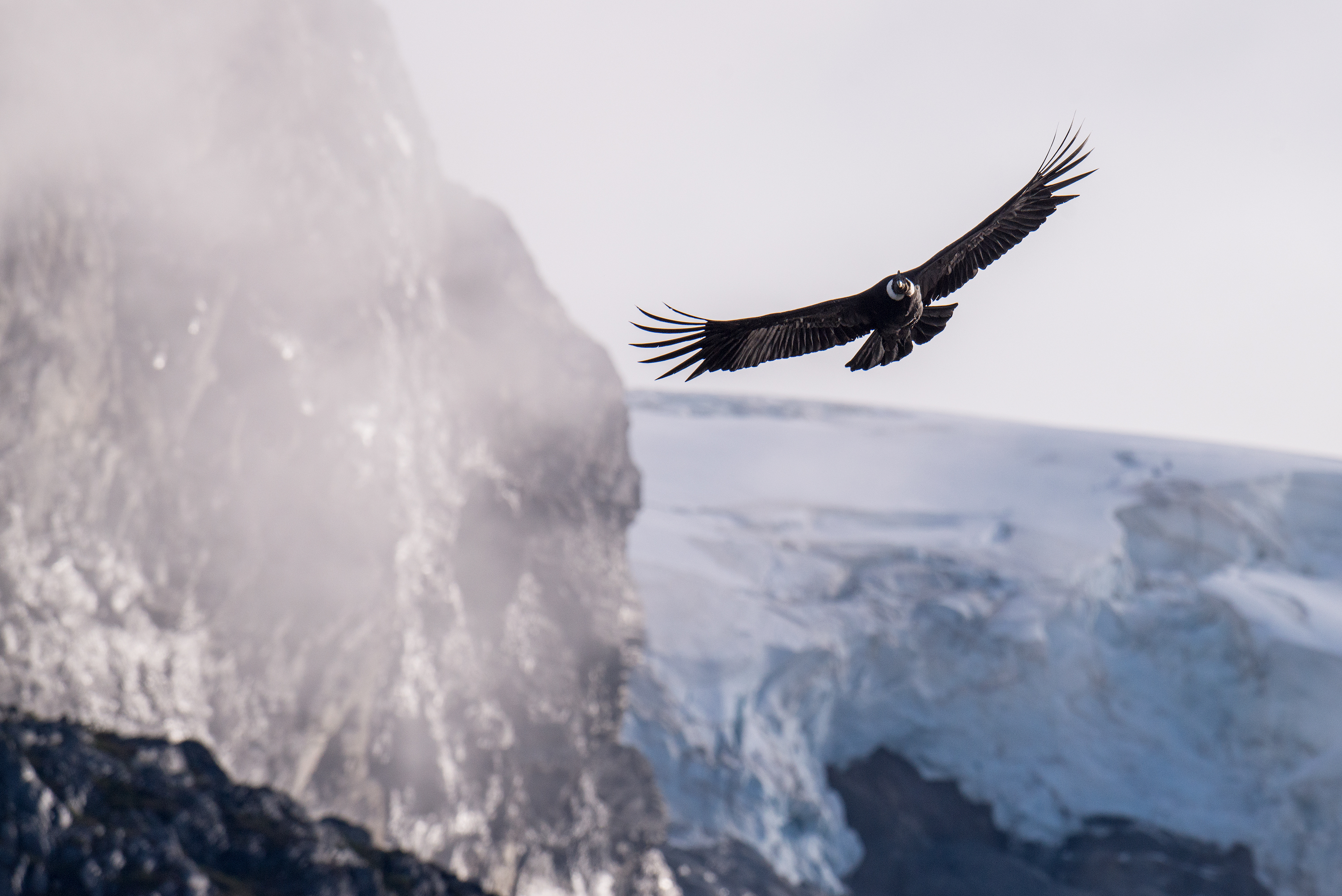 Patagonia: Fjords, Glaciers & Beyond