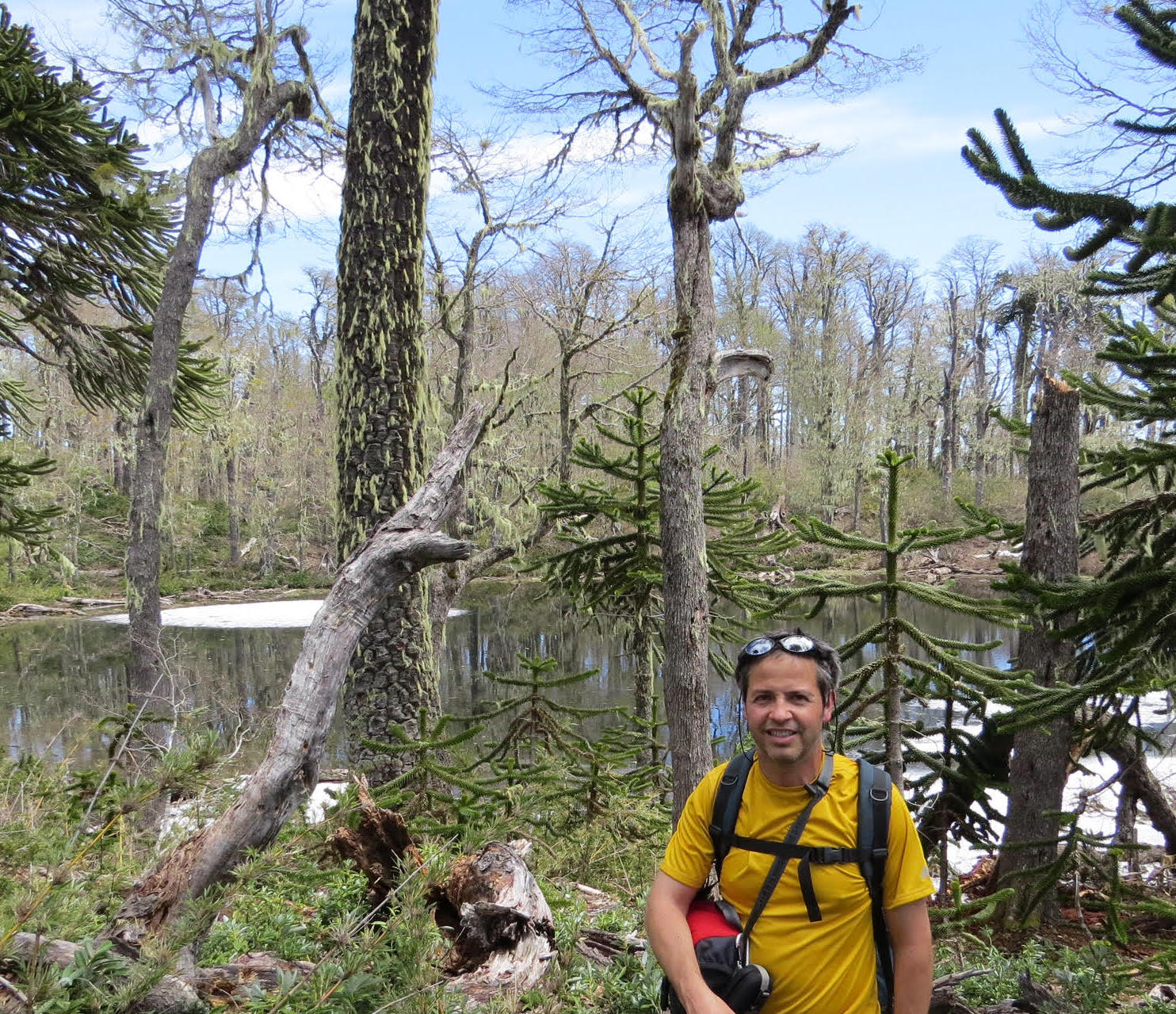 Birds Chile - Araucania Hike