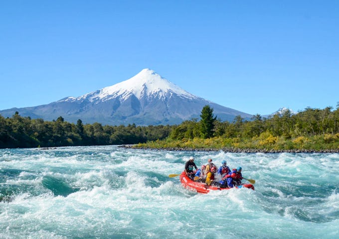 Birds Chile - Rafting Petrohue River
