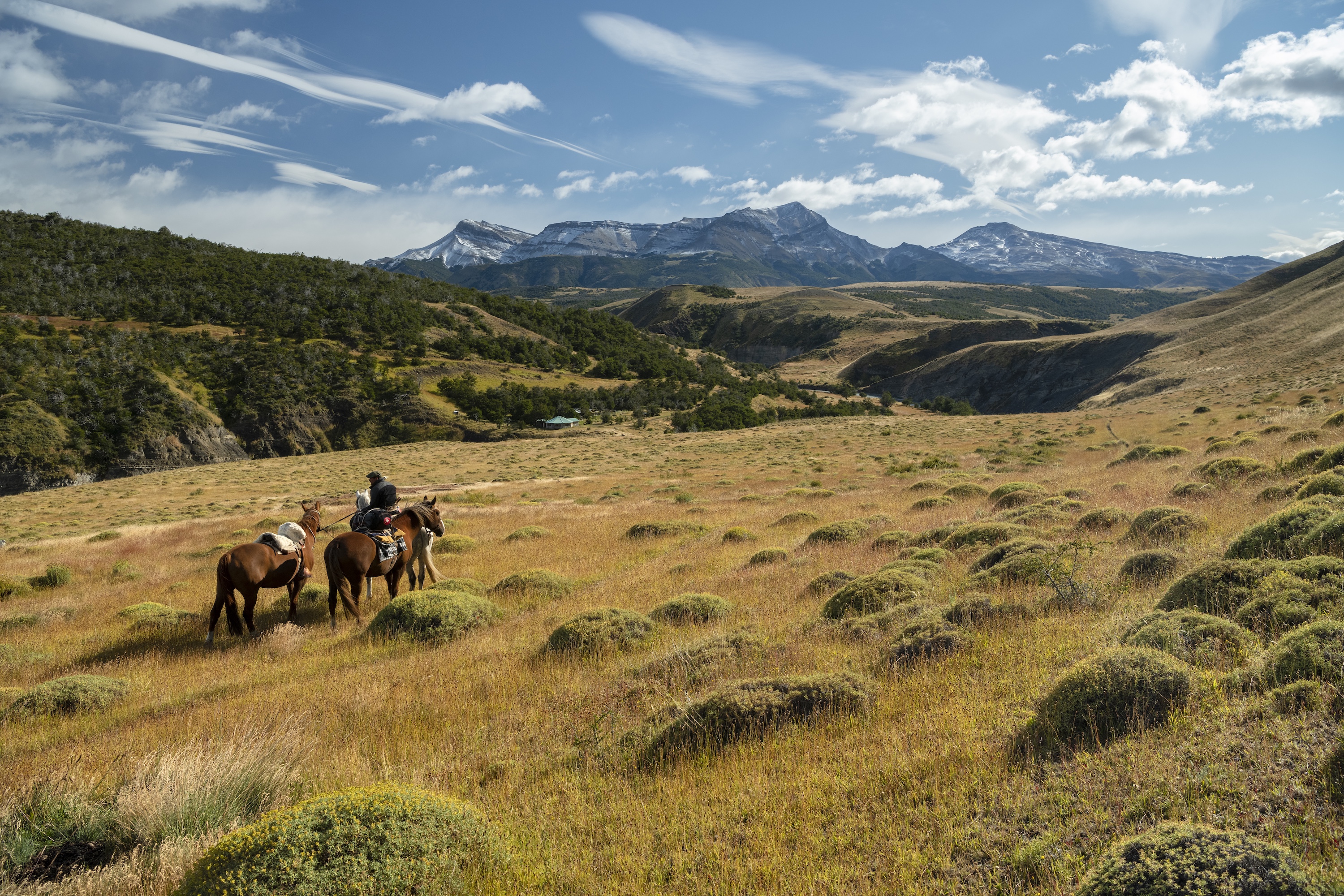Explora Torres del Paine Conservation Reserve - out in the reserve