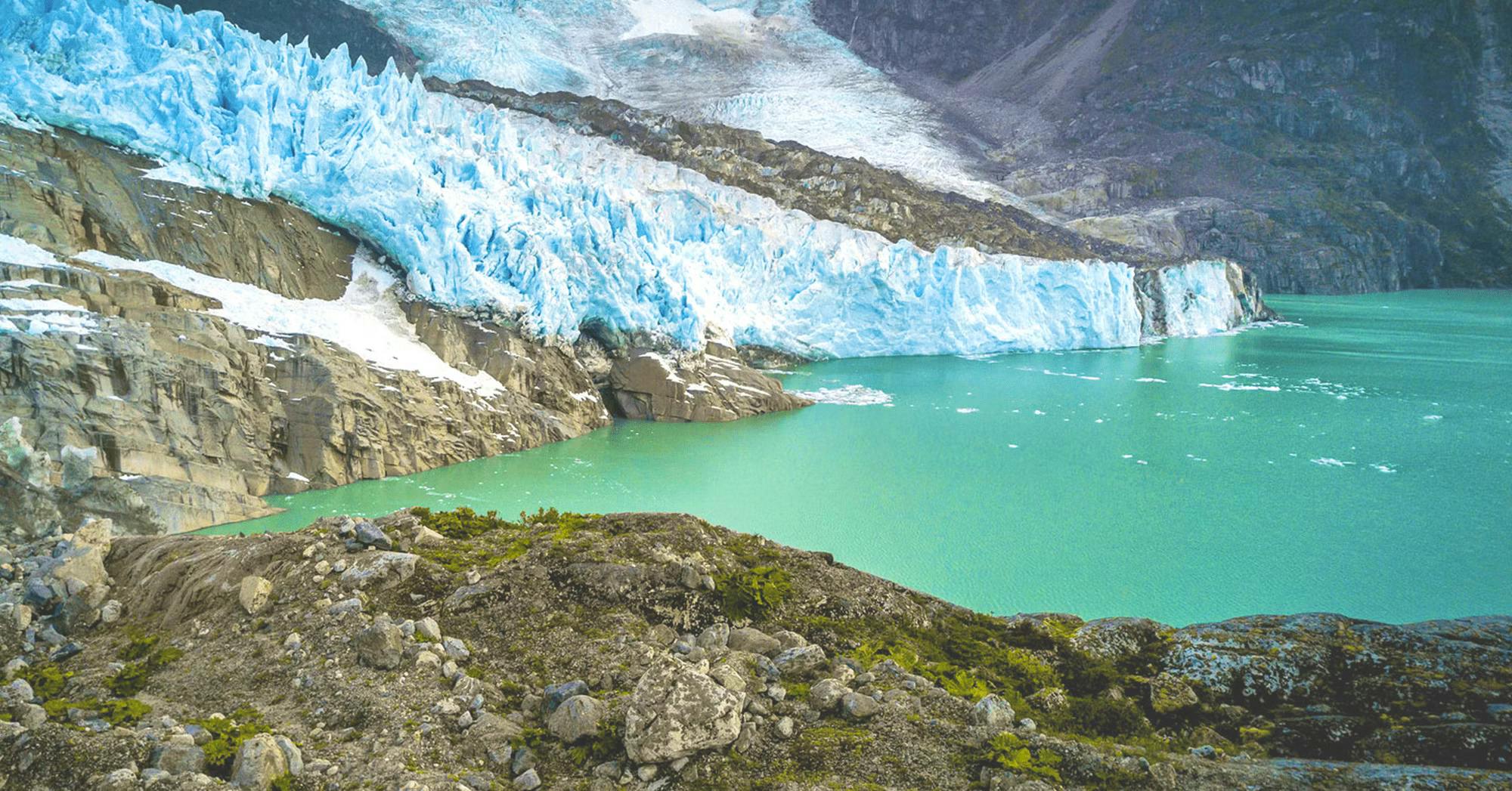 Swoop Says background image