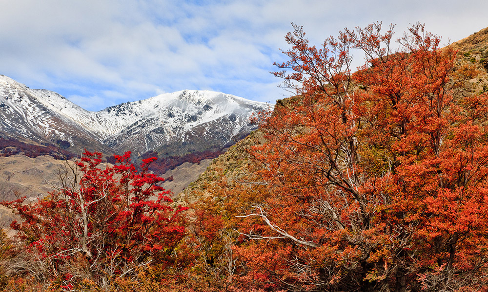 El Mirador de Guadal