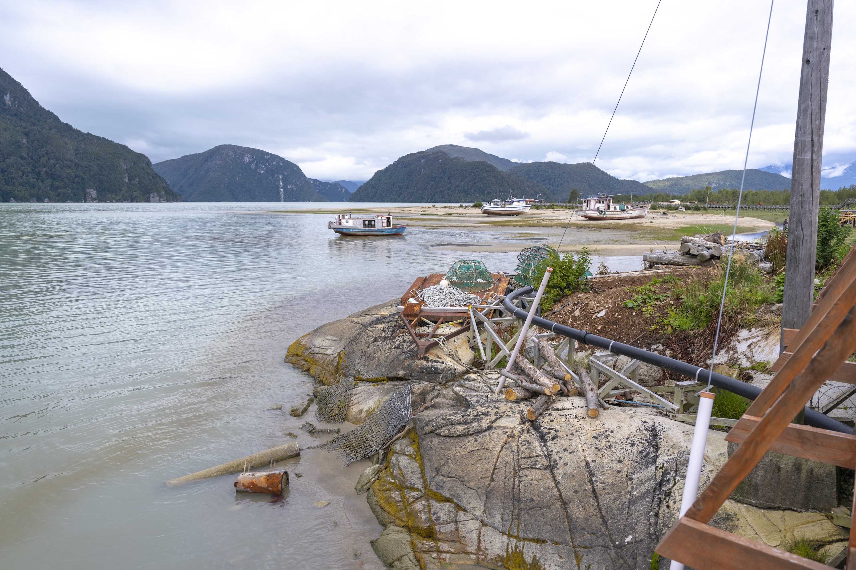 Swann Hellenic - Diana - Tortel