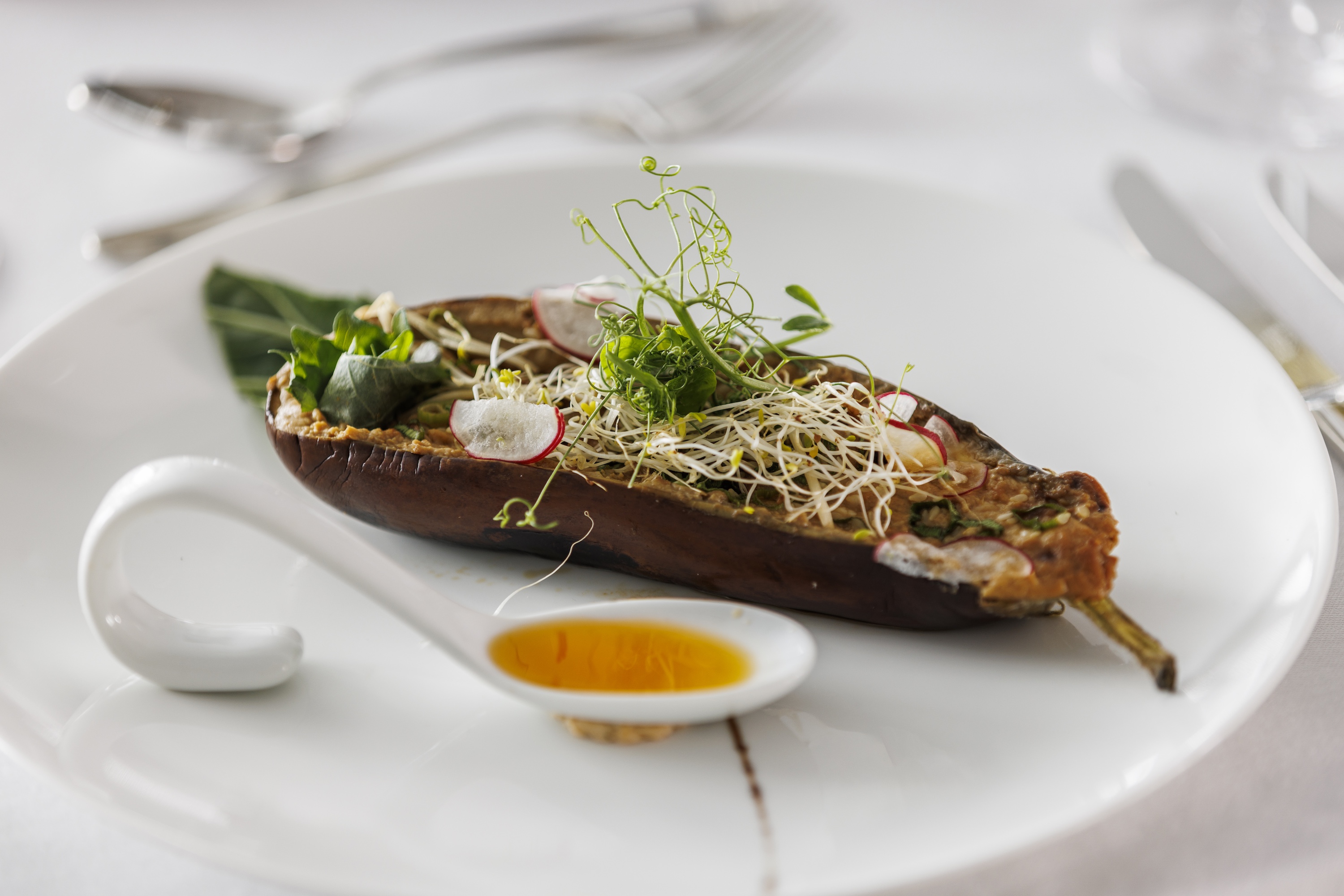 Swan Hellenic - SH Vega - Food