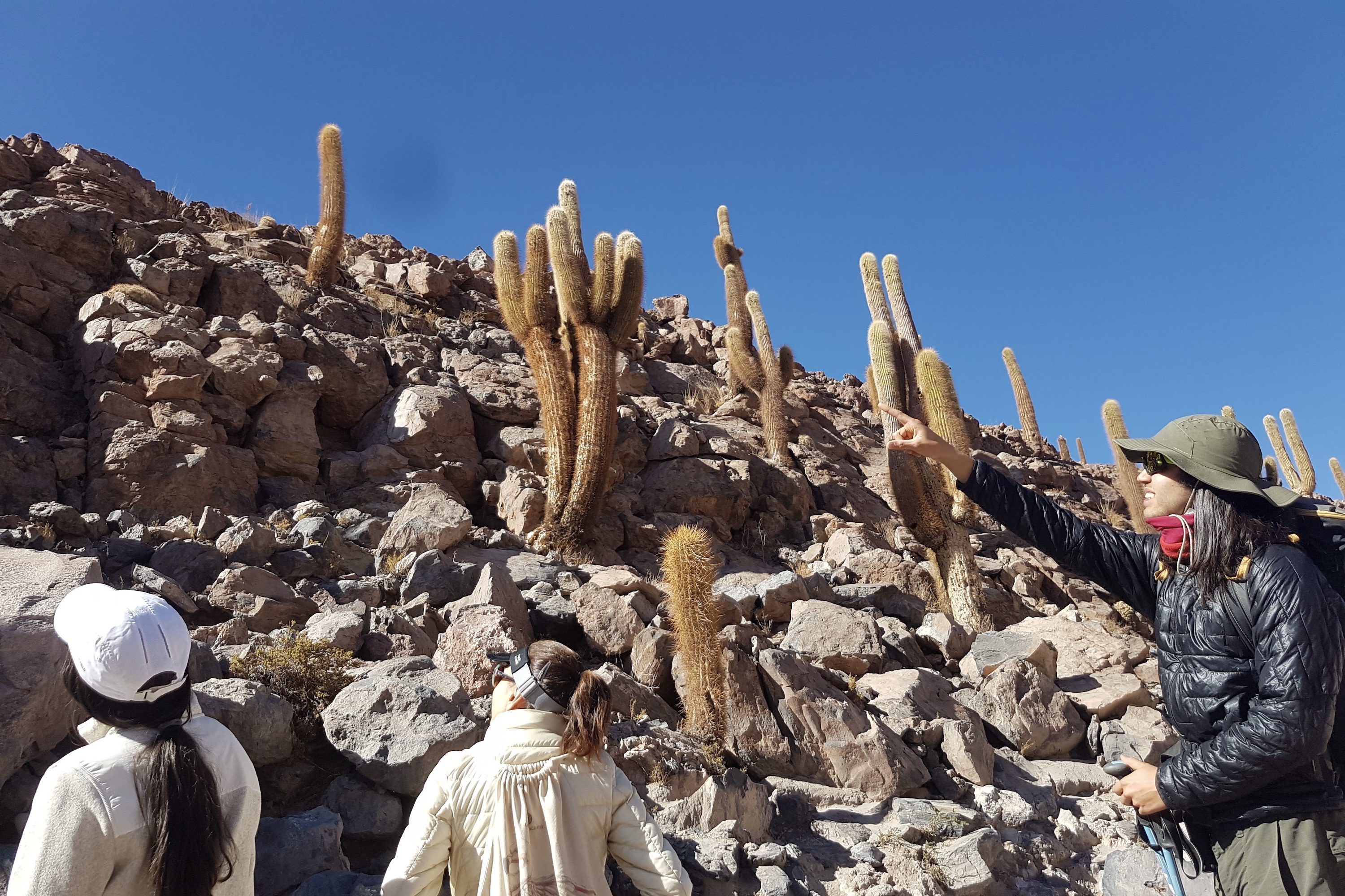 Peter Guatin Cactus Hike