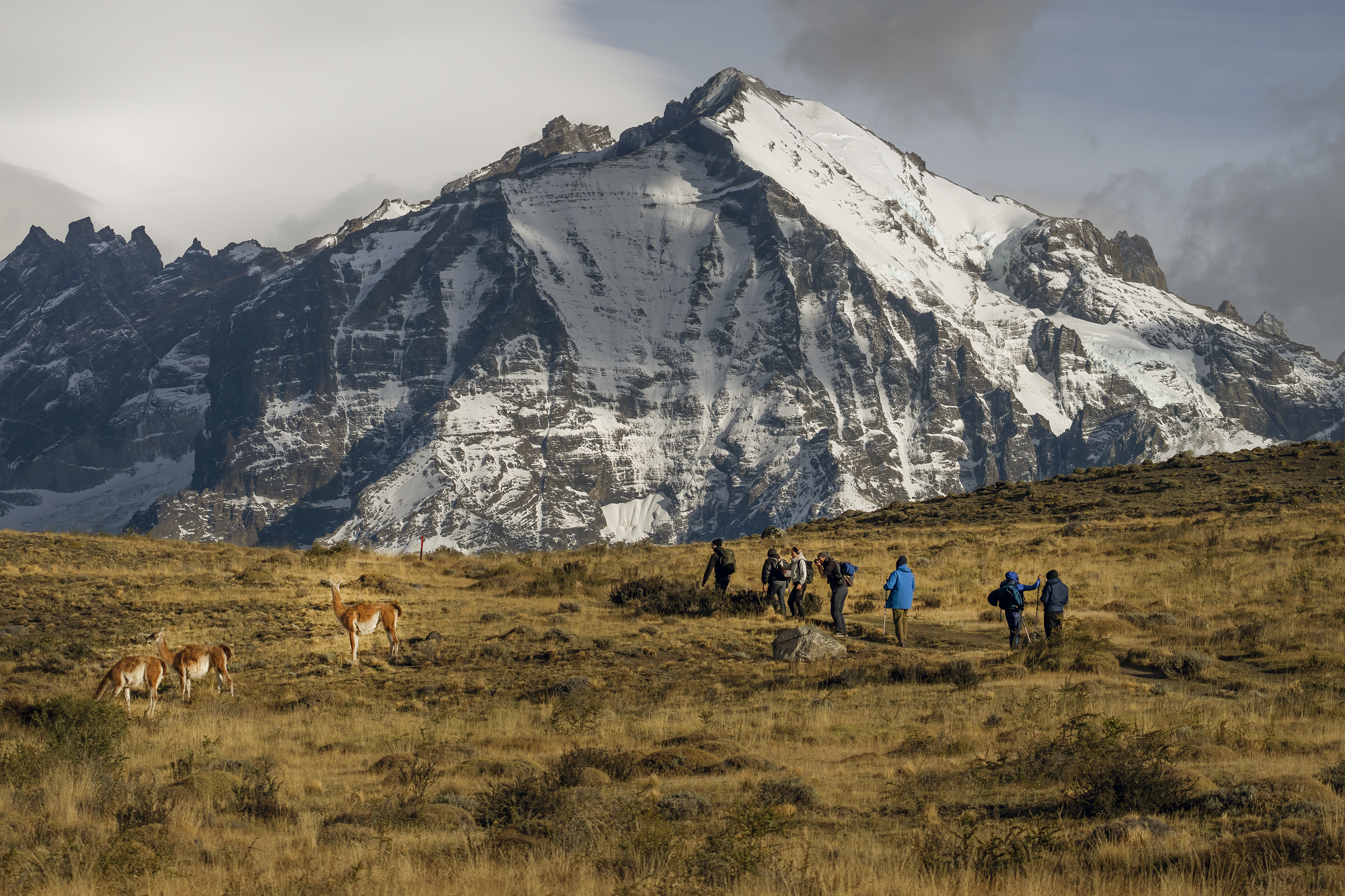 Tierra Patagonia Excursions - Easy Hike