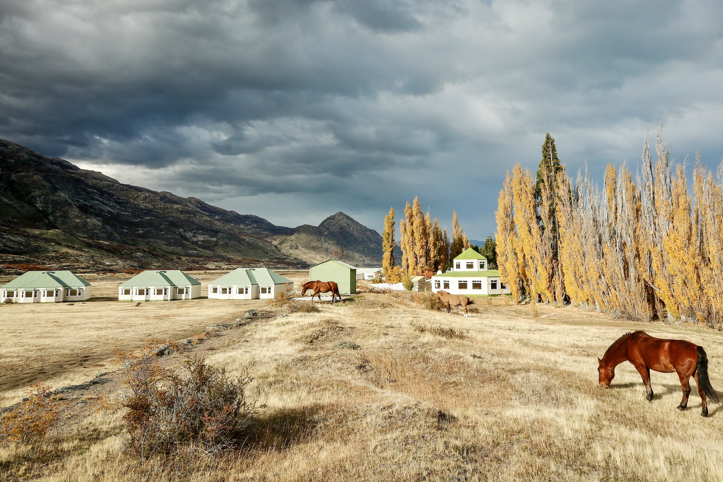 Excursions from Estancia Cristina